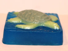 Men Turtle Soap