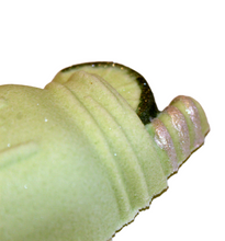 Margarita Mason Jar Bath Bomb