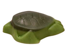 Men Sea Turtle Soap