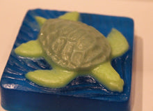 Men Turtle Soap